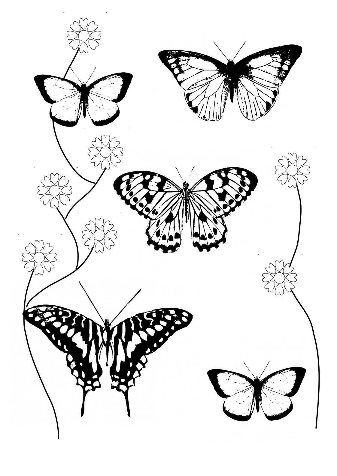Here Is Coloring Pages Butterfly Printable Mackira Thanatos