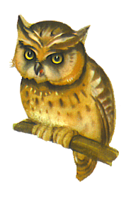 Owl Clip Art - Pictures of Owls