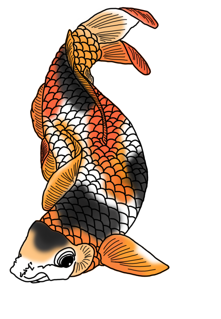 black white red orange koi fish