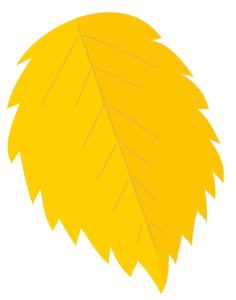 yellow autumn leaf drawing