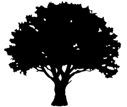 oak tree silhouette graphics