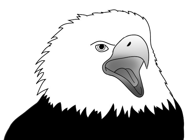 Eagle screaming sketch 