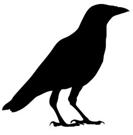 crow silhouette