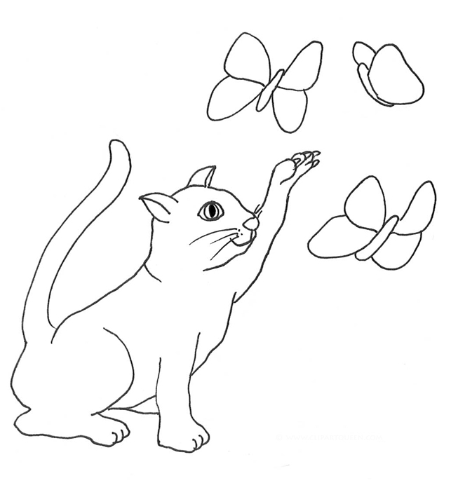 cat catching butterflies sketch