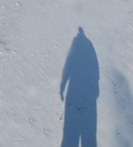 winter pictures shadow on snow