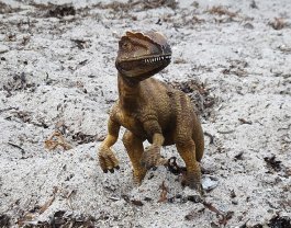 Deinonychus standing on sand