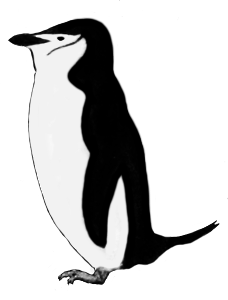 penguin clip art