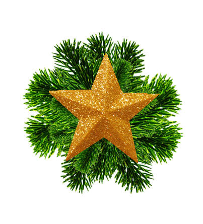 Christmas star and spruce