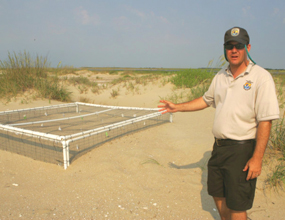 Sea turtle hatchery