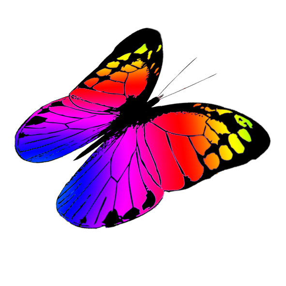 free butterfly clipart