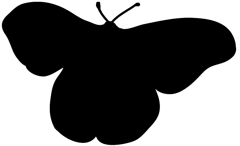 Silhouette in black of butterfly