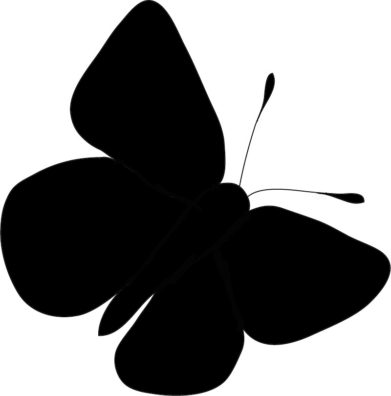 Mission blue butterfly silhouette