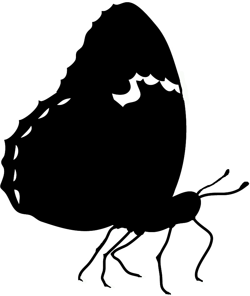 Butterfly silhouette black white