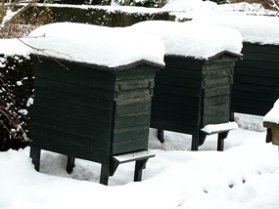 winter pictures snow on beehives