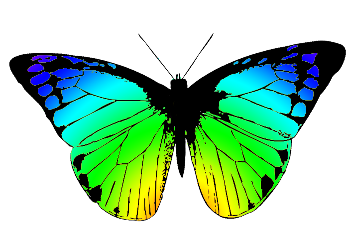 greenish butterfly clipart