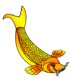 yellow-gold-orange-koi fish