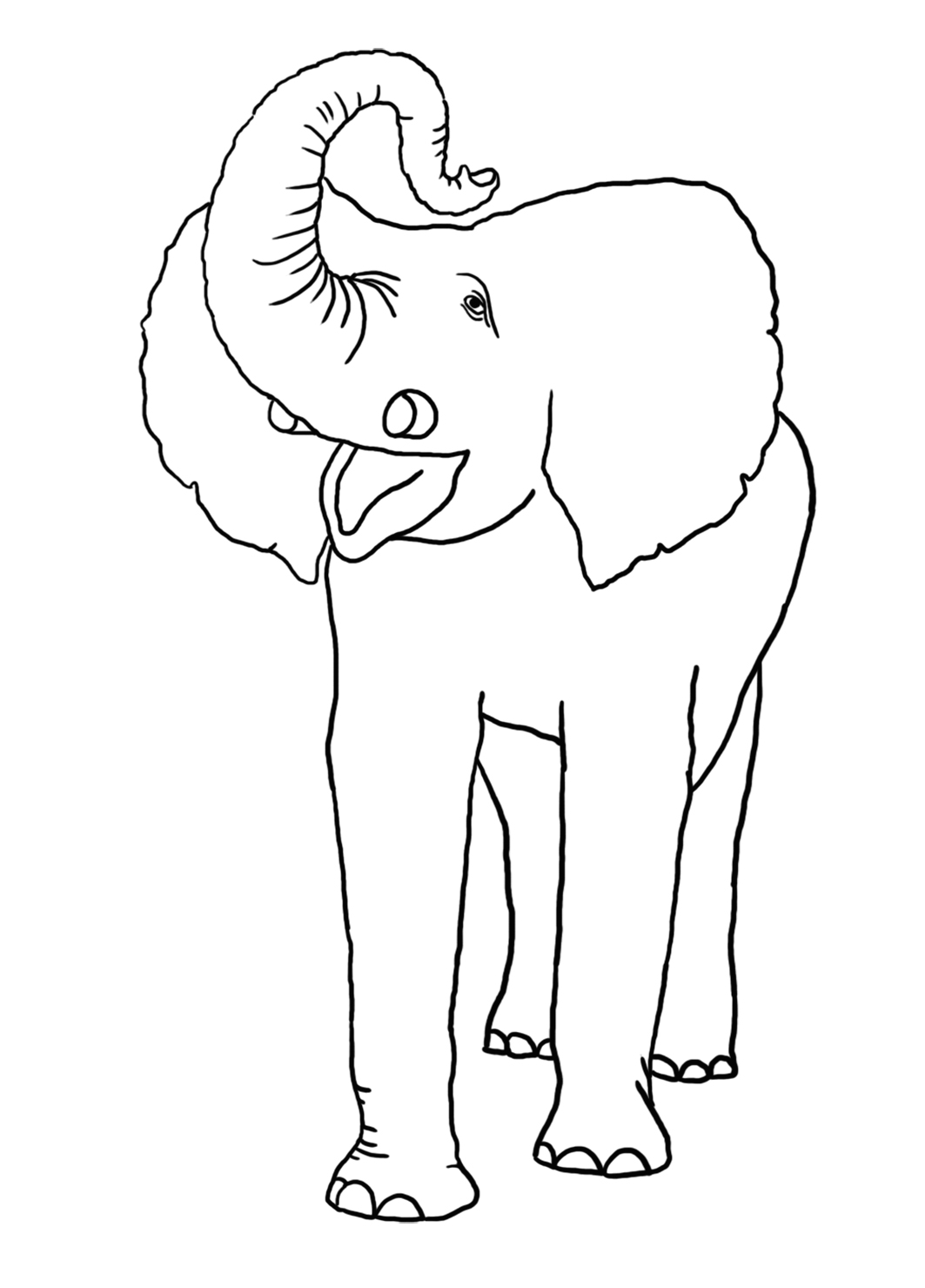 vintage drawing circus elephant for coloring