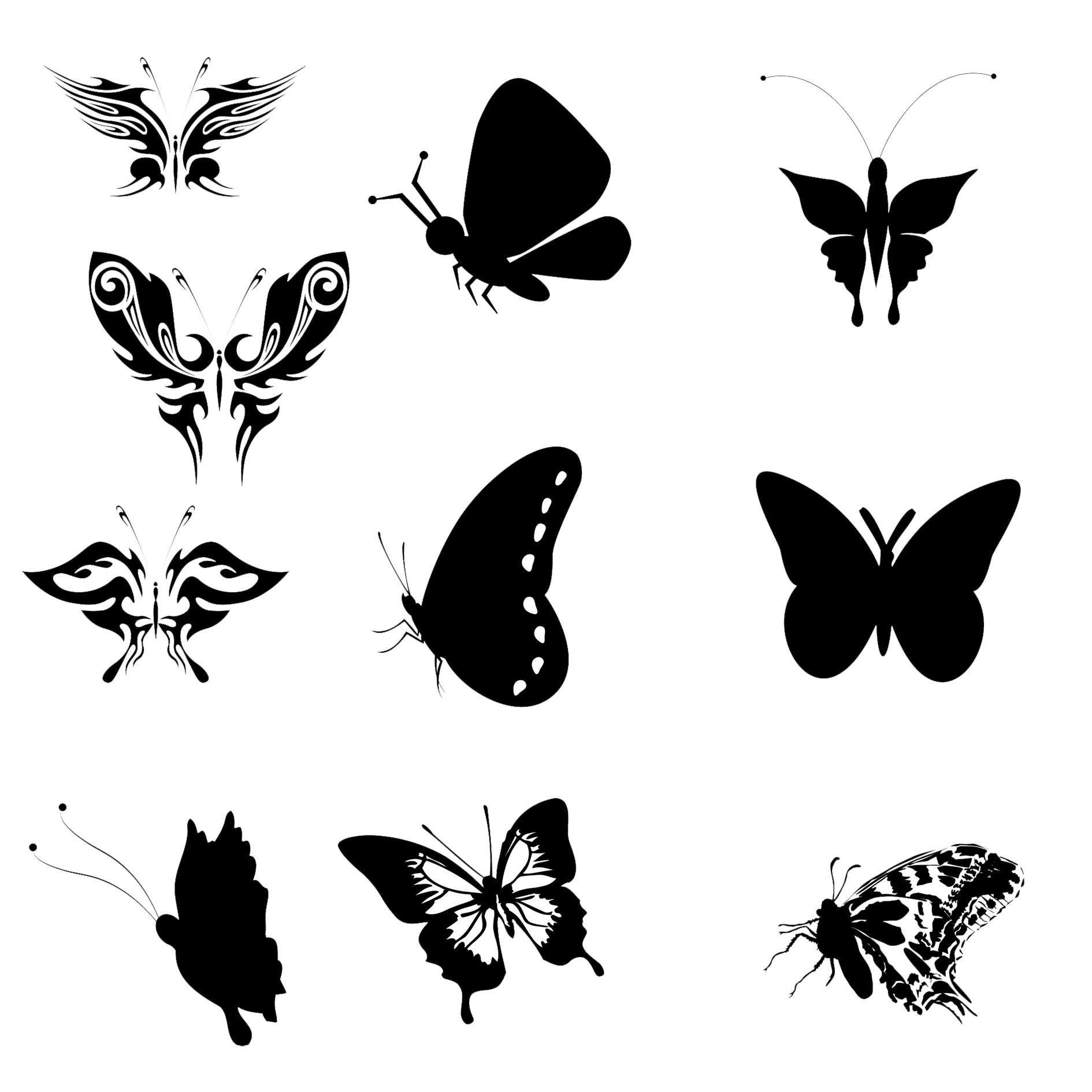 ten butterfly silhouettes transparent background