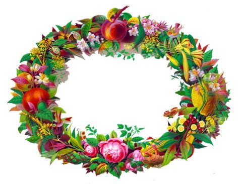 victorian flower and fruit frame