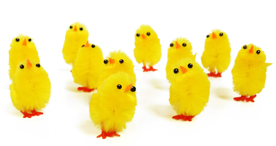 lots of small Easter chicken decorations