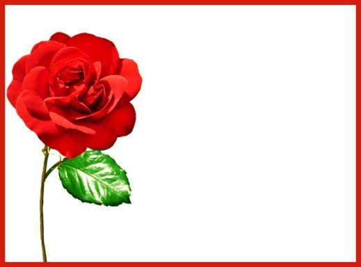 single red rose template Valentine