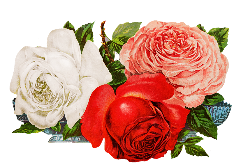 scrapbooking roses