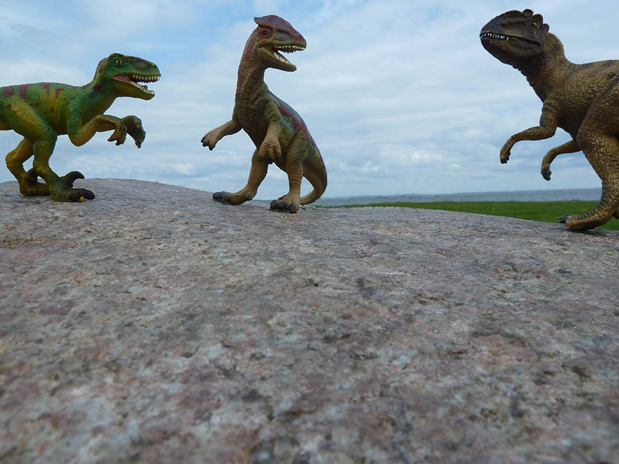 three dinosaurs fighting