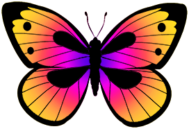 a colorful butterfly
