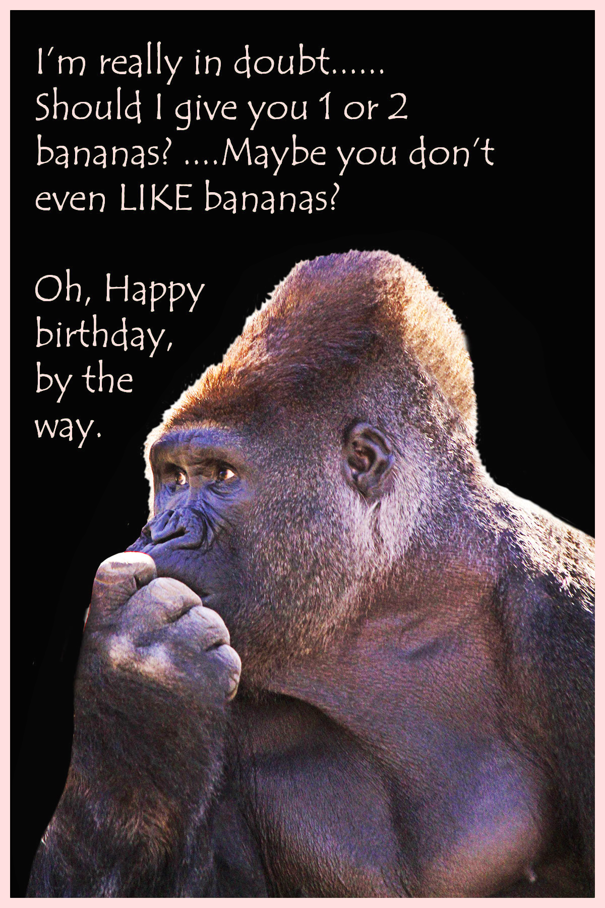 funny-birthday-card-for-him-monkey-birthday-card-birthday-card-for-men