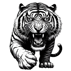 black white tiger drawing