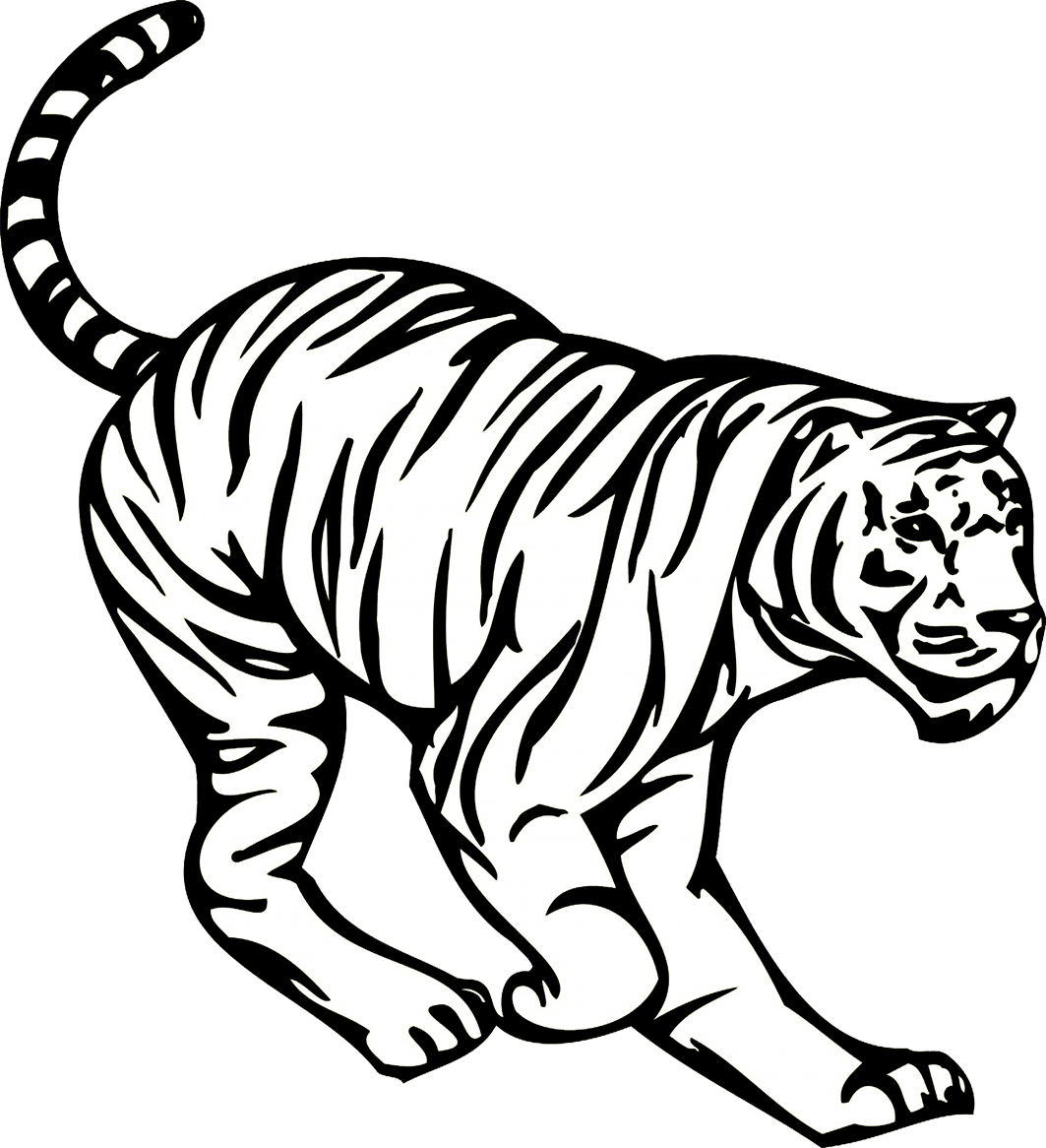 Tiger Clipart