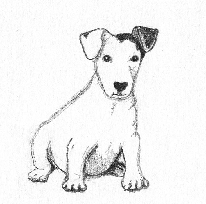dog sketch of cute little dog