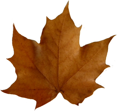 brown leaf clip art