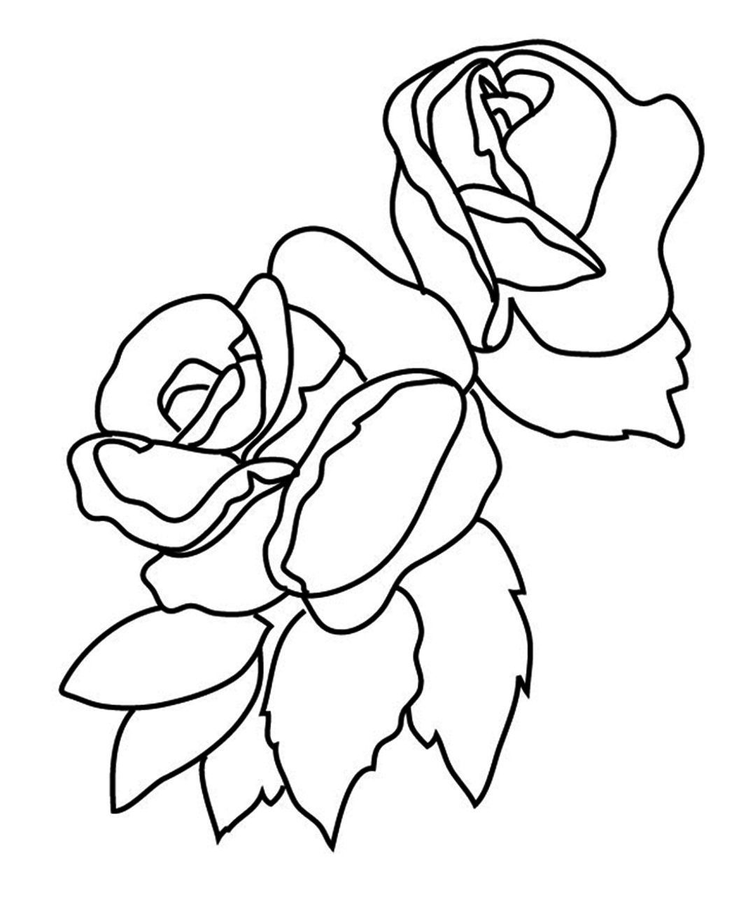 Plants and Flowers Colouring Book  Monkey Pen Store