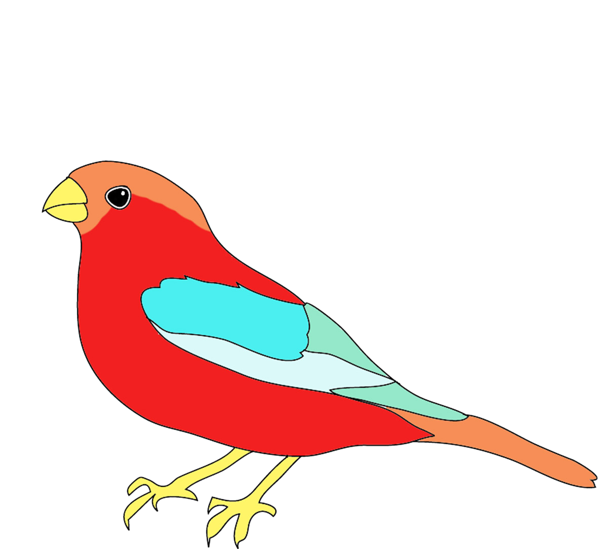 Featured image of post Cute Bird Drawing Colored - Begin by drawing a small circle.