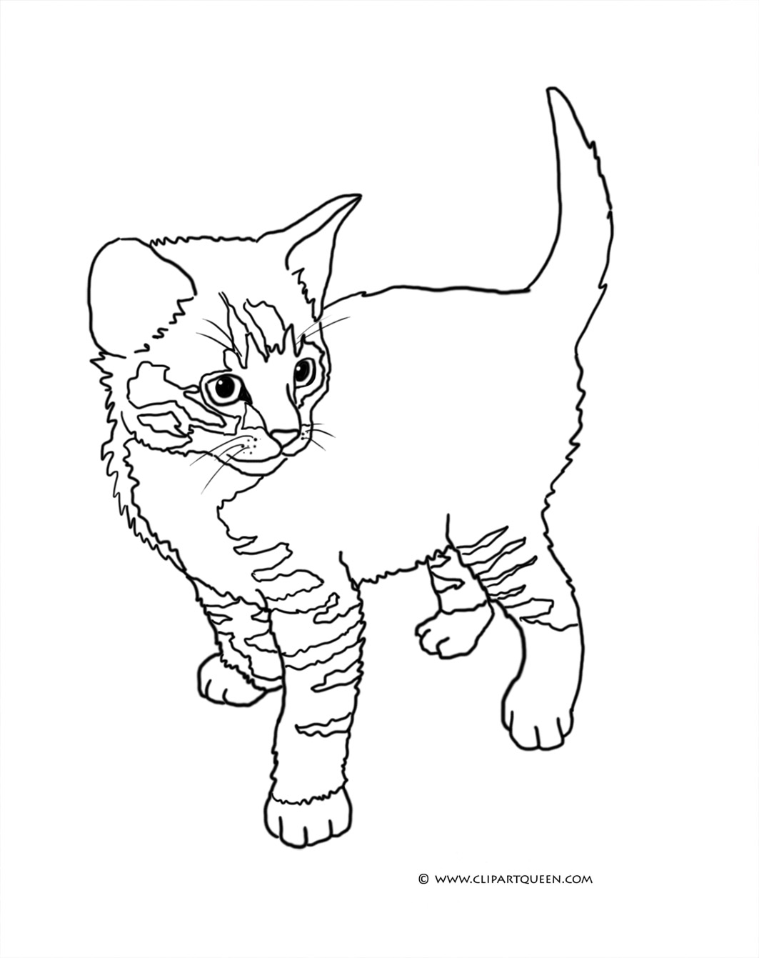 Download Cat Coloring Pages