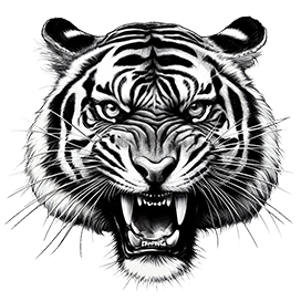 Black and white tiger face