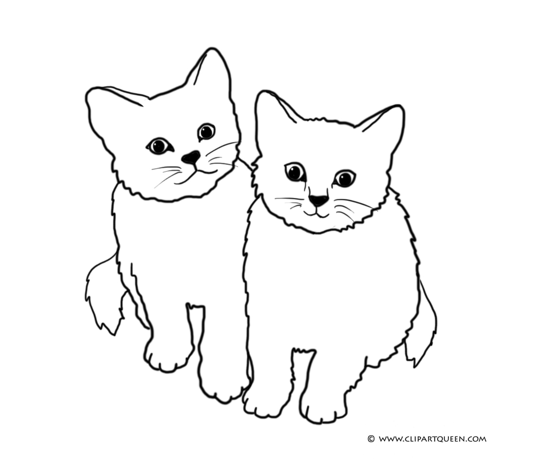 cute animals eyes coloring pages