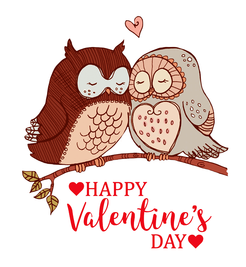 Valentine Greeting With Owls 