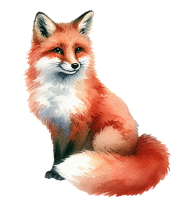 realistic fox drawing watercolor