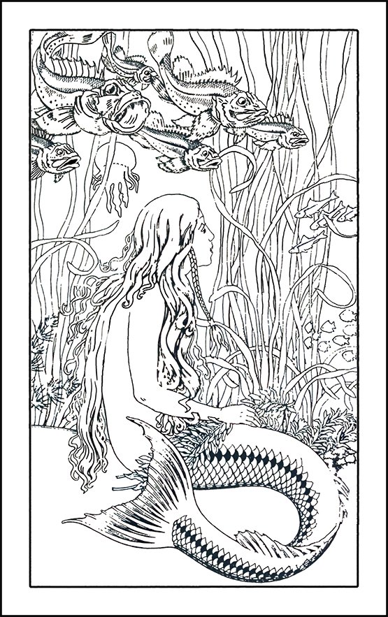 Mermaid and fish