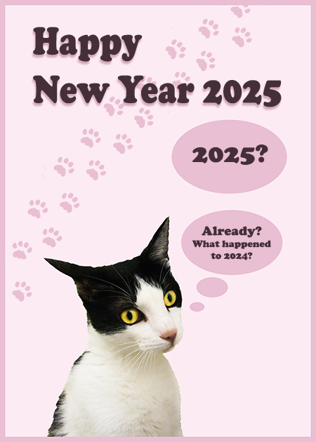 New year card 2025