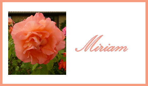 place card with pink rose and name