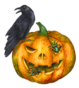 raven and Jack o lantern spiders