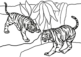 two tigers coloring page